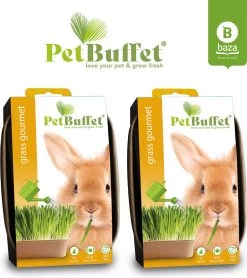 Pet-Buffet Grass Gourmet 6x Gras Kweken Voor Je Konijn