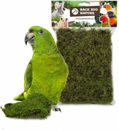 Back Zoo Nature Forest Moss