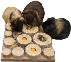 Rosewood Maze-A-Log Treat Challenge – 30X30X5 CM