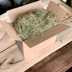 Waddenhooi Van 2022 – Vers Hooi Van Het Friese Platteland – Konijnenvoer – 4,5kg