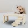 Houten Hamster Platform Trap Voor Kooi Landschapsarchitectuur Kleine Dier Klim Tafel Met Tunnel Cavia Rat Muis
