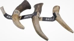 Aerend – Hondenkauwspeeltje – Honden Speelgoed – Kauwspeelgoed – Natuurlijk – 100% Antler Premium – Langdurig, Hertengewei, Roodhert Elk – Rijk Aan Eiwit En Calcium – S – 10-12 Cm – 3 Stuks