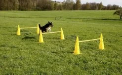 KERBL Agility Hindernissenset Honden