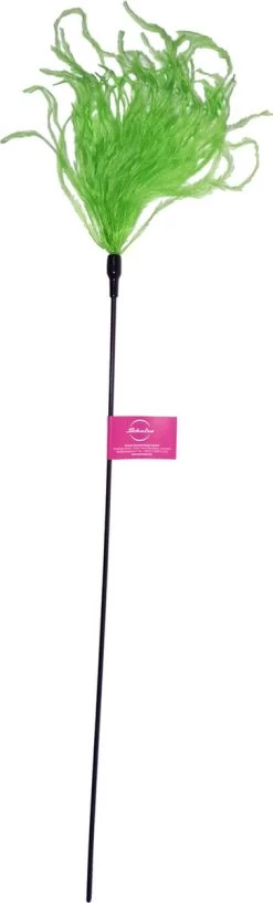 Kattenhengel Met Kleurrijke Veren Voor Katten