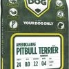 Amerikaanse Pitbull Terriër
