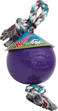Jolly Ball Romp-n-Roll – Honden Speelbal Met Frisse Geur – Hondenspeelgoed Met Stevig Trektouw – Paars – Ø 15 Cm