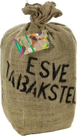Esve Tabakstelen – Kort