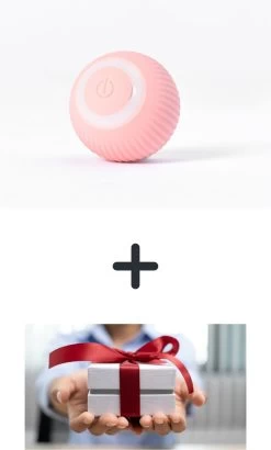 Slimme Kattenbal Roze + Cadeau – Kattenspeeltje / Huisdier / Zelfrollende Kattenbal / Oplaadbare Speeltje Voor Kittens /katten
