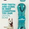 Tasty Bone – Dental Bone – Hond – Peppermint 17 X 5 CM