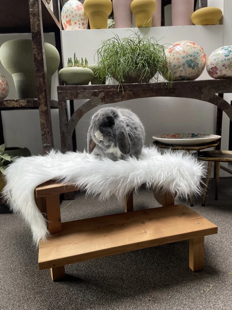 Konijnen Speelgoed – Handgemaakt – Knaagdieren Speelgoed – Duurzaam – Diervriendelijk – Irisfransjes 1 Konijnen Speelgoed – Handgemaakt – Knaagdieren Speelgoed – Duurzaam – Diervriendelijk – Irisfransjes